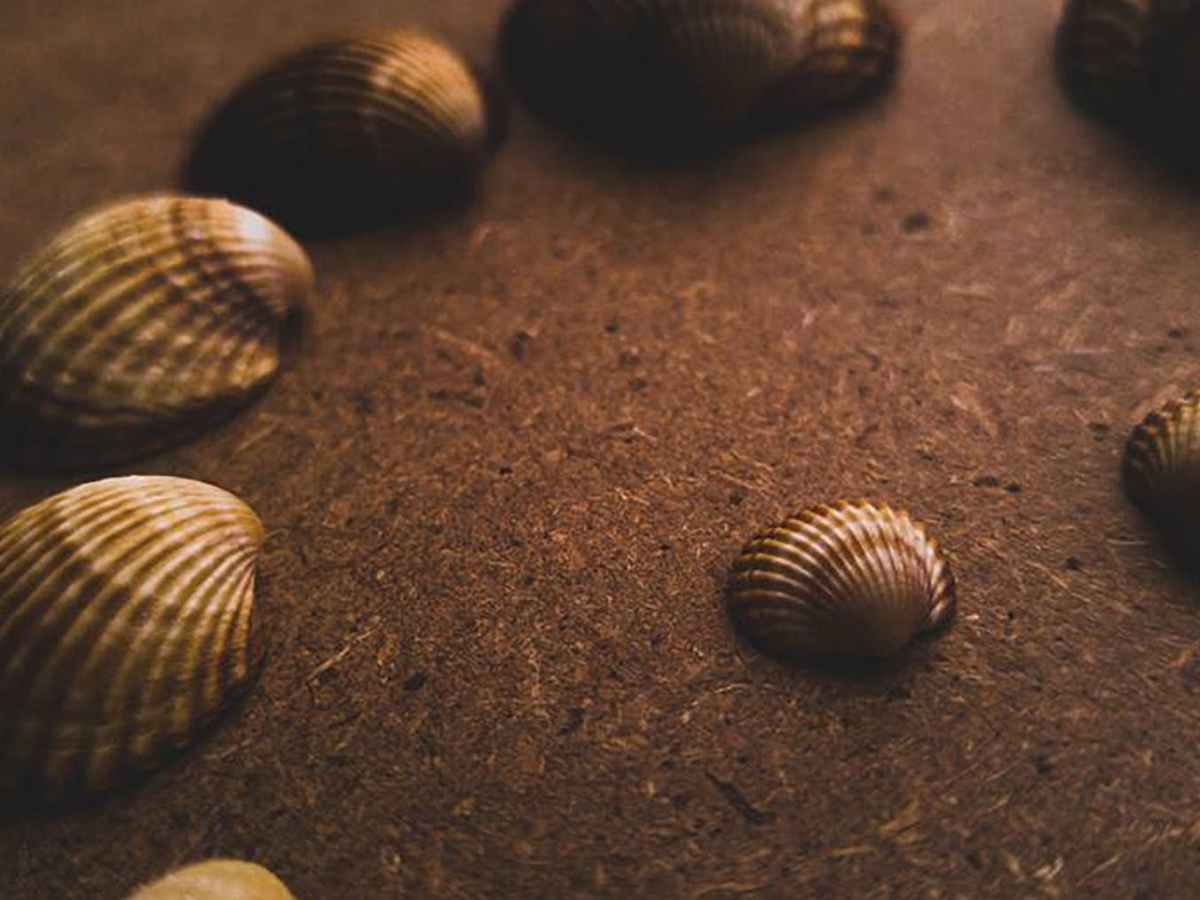 Eylul- mukemmeliyetcilik savaşı&nbsp;yeniden