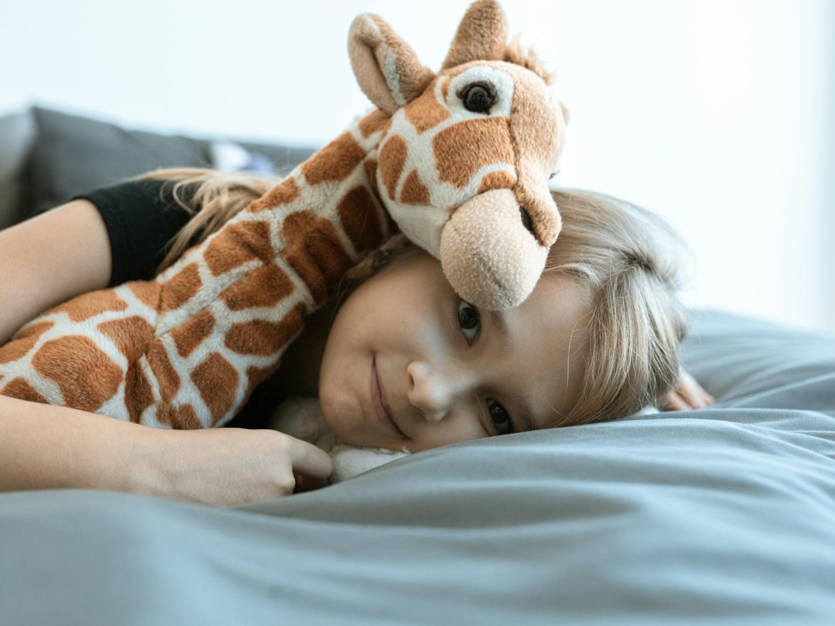 Geçiş Nesneleri ve Geçişsel Fenomenler: İç ve Dış Dünyamız Arasındaki&nbsp;Köprü